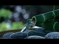 calm your mind u0026 sleep with relaxing rain sounds bamboo water fountain