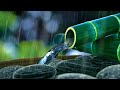 Calm Your Mind & Sleep with Relaxing Rain Sounds + Bamboo Water Fountain
