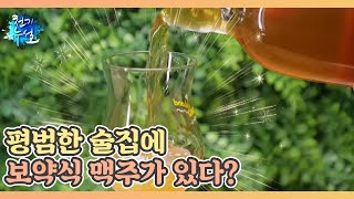 평범한 술집에 보약식 맥주가 있다? MBN 240223 방송