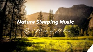 Nature sleeping Music