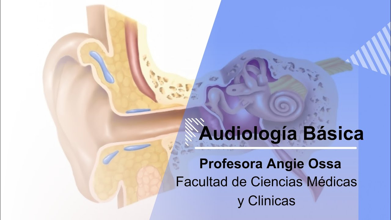 Audiología Básica Youtube