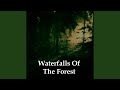 Waterfalls Of The Forest