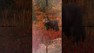 ALASKA WOLF - Hunting Survival #hunting #gaming #wildlife #animals #nature #newvideo #wolf #alaska