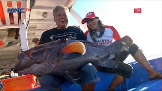 Berburu Ikan Laut Dalam, Kerapu Kertang atau Goliath Grouper Landed Part 03 - Mata Pancing 10/06