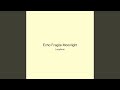 Echo Fragile Moonlight