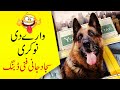 Sajjad Jani aka Dubbing Master | Nokri Waaray Di (Dog Dubbing)