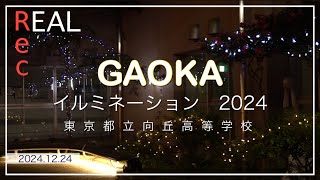 Real.Rec.49 GAOKA イルミネーション2024