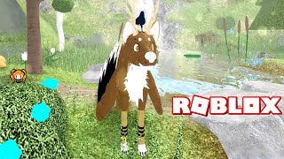 Dont Be Jealous Cause Im Flawless Roblox Royale High - 