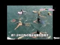 小学校交流遠泳 2012年8月6日放送