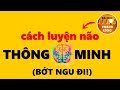 Cách Luyện Não Thông Minh Hơn Mỗi Ngày (BỚT NGU ĐI!)