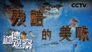 《道德观察（日播版）》残酷的美味 20180804 | CCTV社会与法