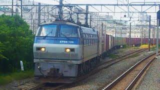 3064レ(代走)EF66-126[吹](JR貨物色・サメ)＋コキ20Bが新川崎駅通過