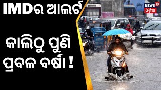 Odisha Weather Update|କାଲିଠୁ ପ୍ରବଳ ବର୍ଷା!Rainfall Alert|Odisha Rain|IMD Issues Thunderstorms Warning