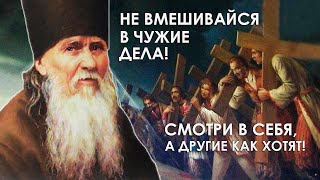 Не вмешивайся в чужие дела! Внимай себе, а другие – как хотят! - наставления прп Амвросия Оптинского