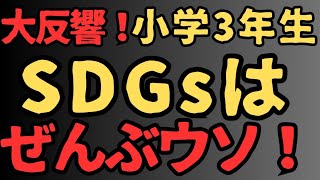 SDGsはウソ！小学３年生ポスター