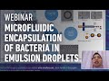 WEBINAR | Microfluidic encapsulation of bacteria in emulsion droplets, by Nur Suaidah Moh, PhD