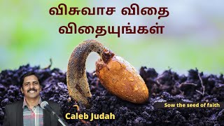 விசுவாச விதை விதையுங்கள் Sow the seed of faith - Caleb Judah