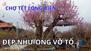 Gặp ngay người bán hài hước nhất Long Biên Hà Nội giới thiệu về chợ Hoa Tết độc đáo