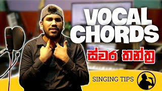 හඬ නිර්මාණය වෙන්නේ කොහොමද? -  [ How The Vocal Chords Work? ]