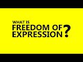 The Right to Freedom of Expression is not an Absolute Right