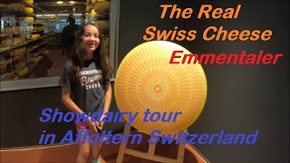 Where the Real Swiss Cheese comes from. Showdairy Tour in \