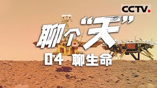 《聊个天》04 聊生命：火星地表究竟有多少地球探测器？“天问一号”探测器搭载着“祝融”号火星车出发火星【CCTV纪录】