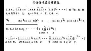 泪蛋蛋掉在酒杯杯里/淚蛋蛋掉在酒杯杯裡 G调伴奏 Tears drop into wine cup - instrumental in G