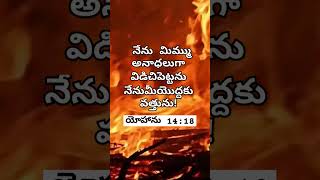 ప్రభు అనాధలను విడిచి పెట్టడు🙏#shorts #jesus #god #telugubibileverse #youtubeshorts #ytshorts