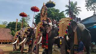 Panchari Melam | Peruvanam Kuttan Maarar | Sivanarayana Temple, Thirunayathode