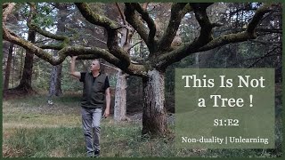 This Is Not A Tree | Non-Duality Unlearning