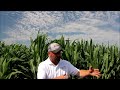 Cropwatch 2022 - Jason Webster