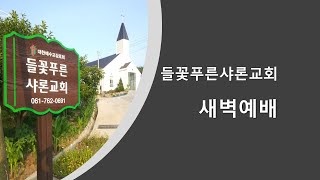 들꽃푸른샤론교회ㅣ새벽예배 (250204)ㅣ강월중목사ㅣ사 3장 | 악한 통치자들이 백성의 얼굴에 맷돌질하다