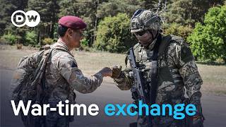 How European allies learn from Ukrainian soldiers | DW Reporter