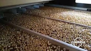 Cimbria Seed Processing line Advance Seed Serbia