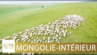 Soum de Yimin de Mongolie-Intérieur - Vivre ensemble en harmonie