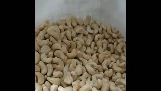 Vietnam Cashew nuts best quality cheapest cashew nuts