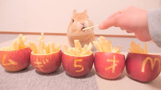 5歳になったお祝いに大量のリンゴをプレゼントしたらこうなりました【No.1005】