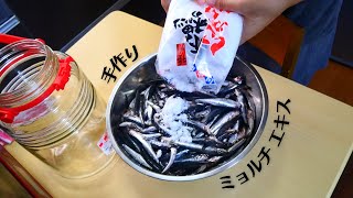 【簡単】ミョルチエキス作り#2 カタクチイワシで韓国の魚醤作り　멸치액젓 까나리액젓