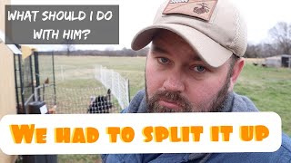 We had to SPLIT IT from Keeping it Dutch!