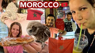 Morocco's 🇲🇦 Affordable Exotic Animals \u0026 Insane Food 🥘