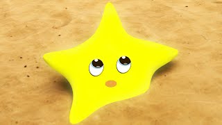 Twinkle Twinkle Little Star  ABCkidtv and more Nursery Rhymes kid song