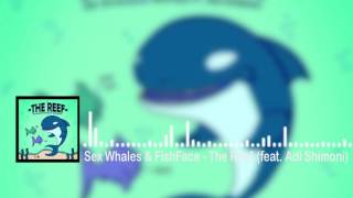 Sex Whales \u0026 FishFace   The Reef feat  Adi Shimoni