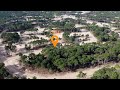 lote bosques video