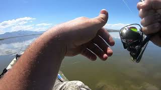 Kayaking Mud Bay (Utah Lake)