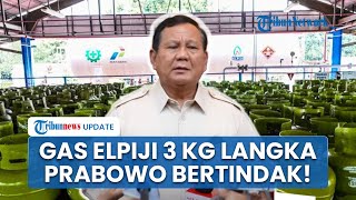 Respons Prabowo \u0026 Gibran sesuai Gas Elpiji 3 Kg Langka, Beri Perintah ke Menteri Bahlil: Cek!