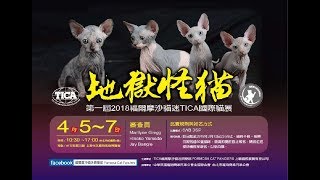 FCF 福爾摩沙貓迷俱樂部｜第一屆 TICA 貓展紀錄