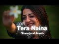 Tere Naina Esa Kafir-Rab Manneya | Lofi-Slowed+Reverb | Koi_Jaane_Na #bollywood #hindisong💗🎧