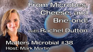 Matters Microbial #38: Microbes, cheese, and Brie-ond!