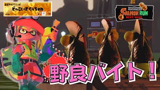 野良バイト　１枠ランダムトキシラズ　カンストしたら終わります　【スプラトゥーン3/サーモンランNW】