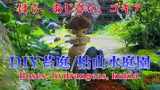 4K DIY苔庭の隣に薔薇を植え洋風の庭を作りました/I planted roses next to the moss garden to create a Western-style garden.